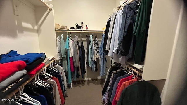 walk in closet featuring carpet floors