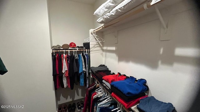 view of spacious closet