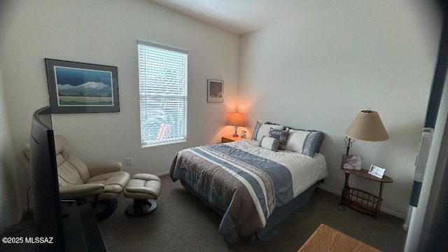 bedroom with dark colored carpet