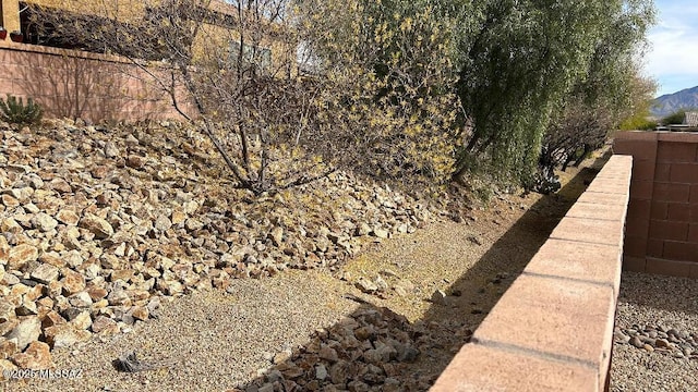 view of yard with a mountain view