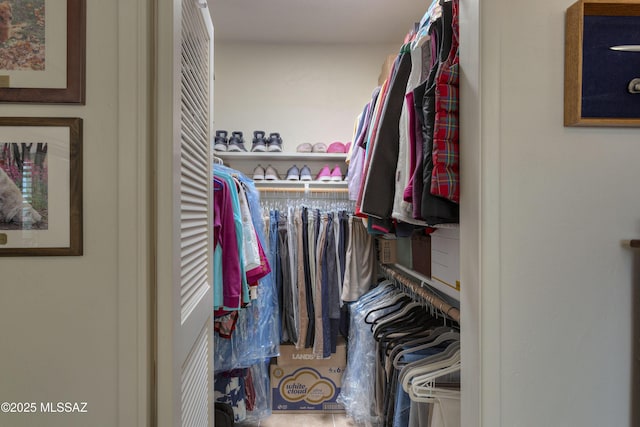 view of walk in closet