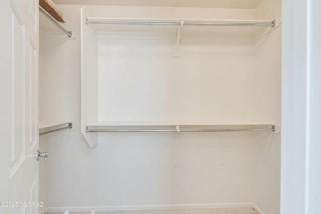 view of spacious closet