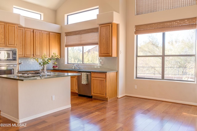 kitchen featuring a healthy amount of sunlight, sink, a towering ceiling, and stainless steel appliances