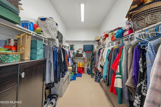 spacious closet featuring carpet flooring