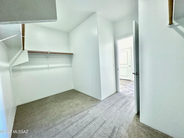 8015 S Galileo Ln, Tucson, AZ 85747 - spacious closet with carpet floors