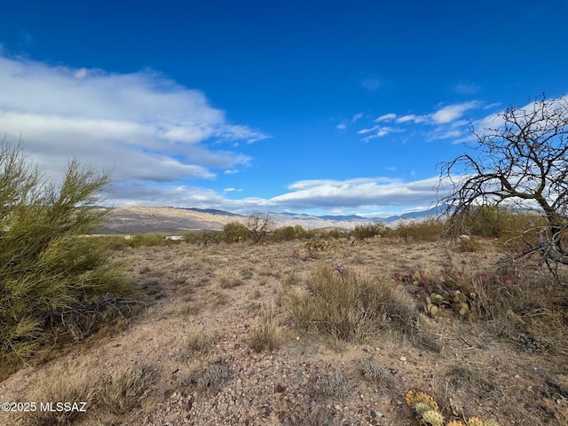 view of local wilderness featuring a mountain view