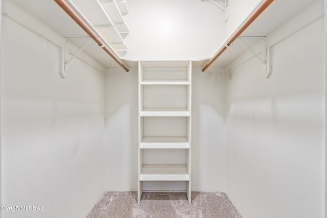 walk in closet featuring carpet floors