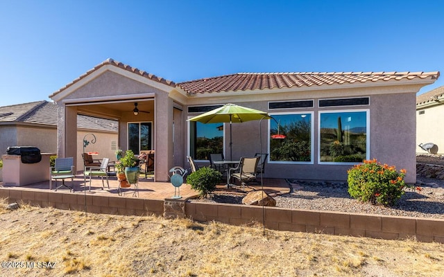 back of house featuring a patio and ceiling fan