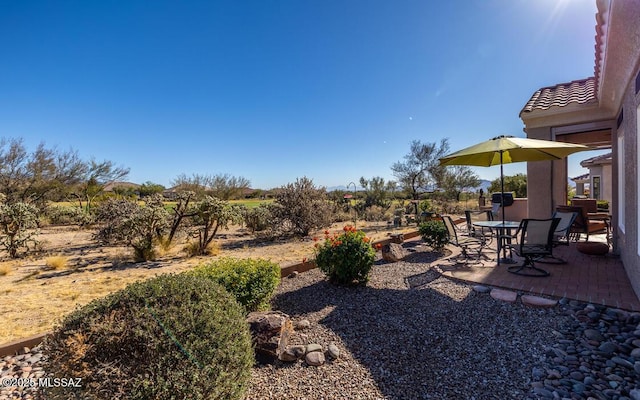 view of yard with a patio