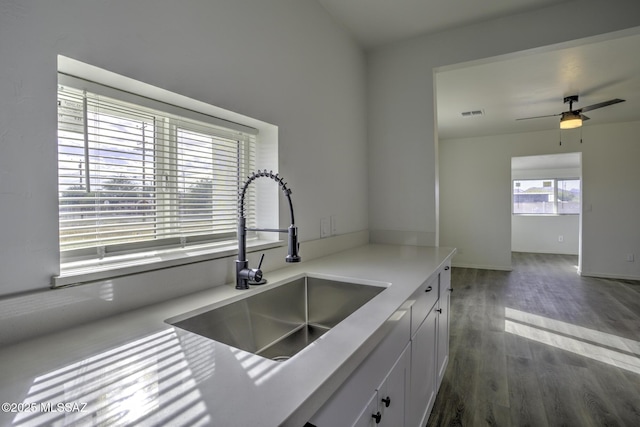 kitchen with white cabinets, dark hardwood / wood-style flooring, ceiling fan, and sink