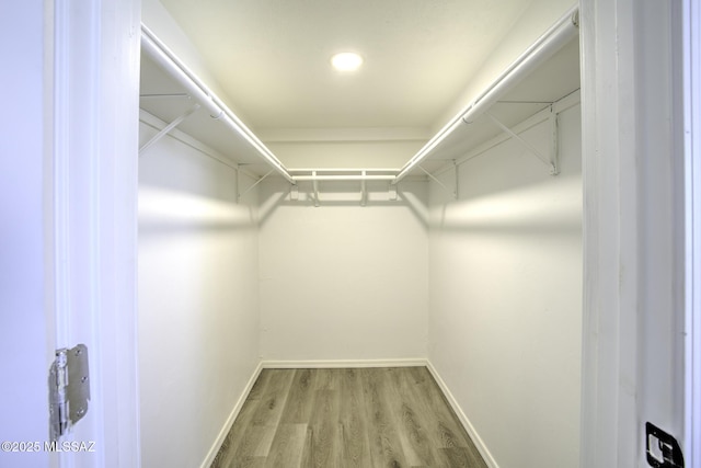 walk in closet with wood-type flooring