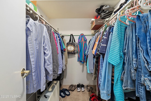 walk in closet with carpet