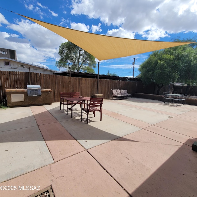 view of patio / terrace with outdoor lounge area and an outdoor kitchen