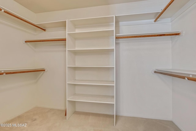 spacious closet featuring carpet flooring