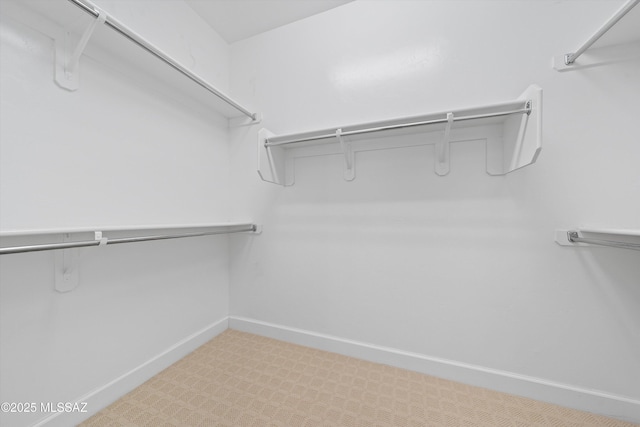 walk in closet featuring carpet