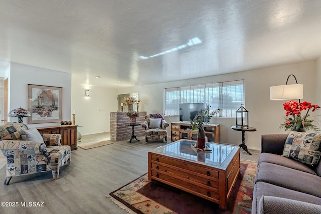 living room featuring hardwood / wood-style floors