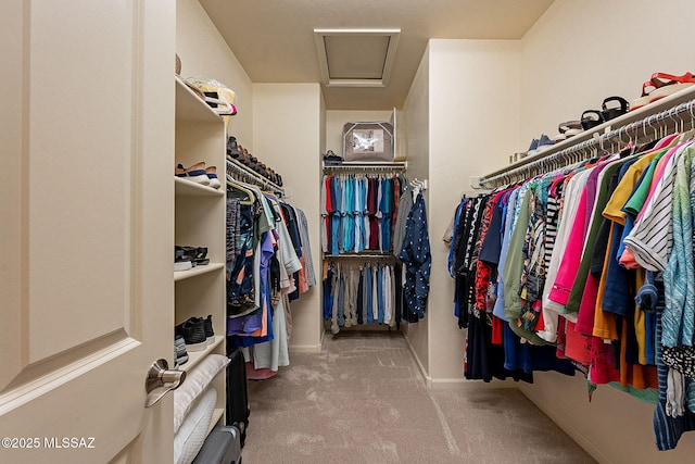 spacious closet featuring carpet flooring