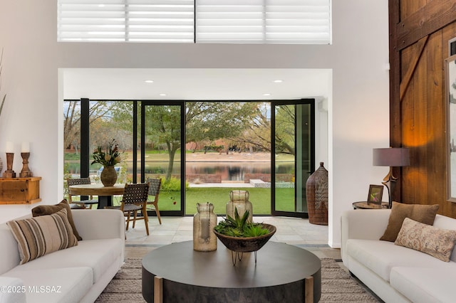 living room featuring a healthy amount of sunlight