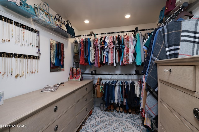 view of spacious closet