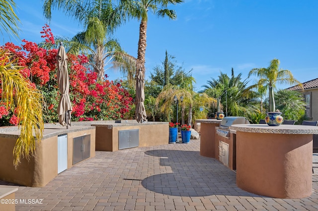 view of patio featuring area for grilling and grilling area