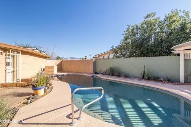 view of pool featuring a patio