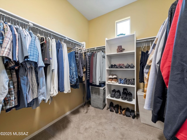 spacious closet with carpet flooring