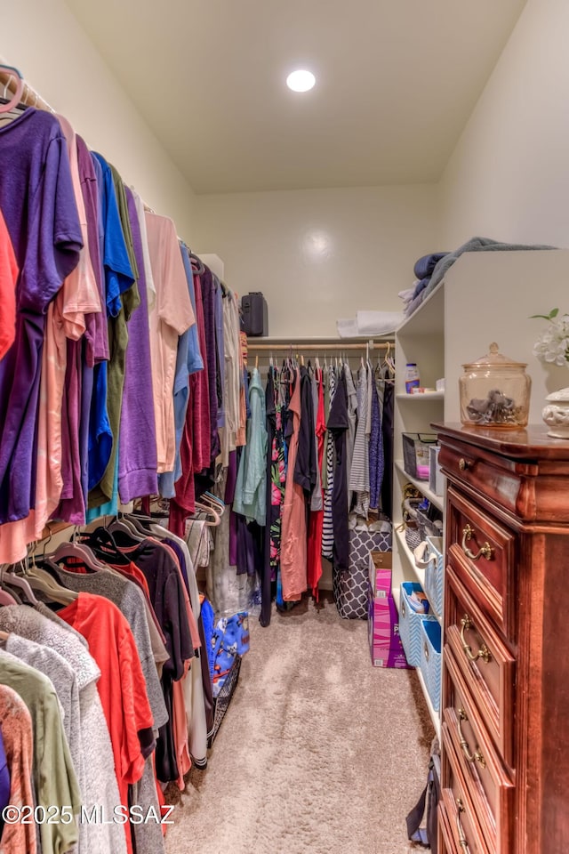 walk in closet featuring light colored carpet