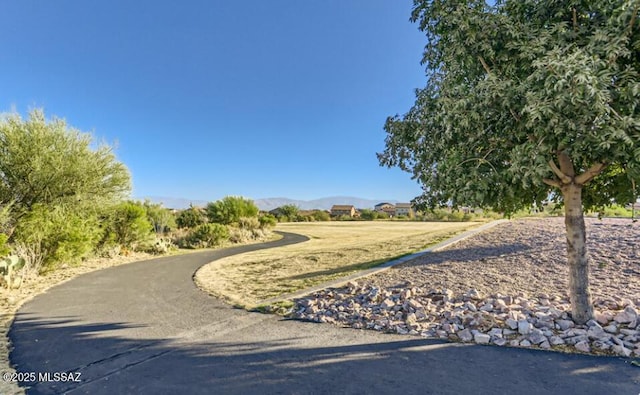 view of home's community with a mountain view