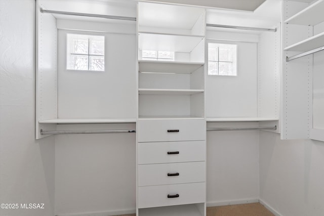 view of spacious closet