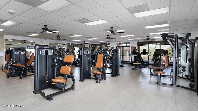 exercise room featuring a drop ceiling and hardwood / wood-style flooring