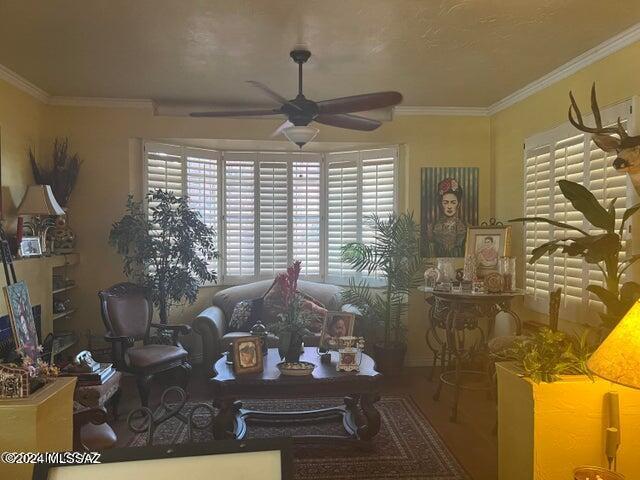 living room featuring ceiling fan and crown molding