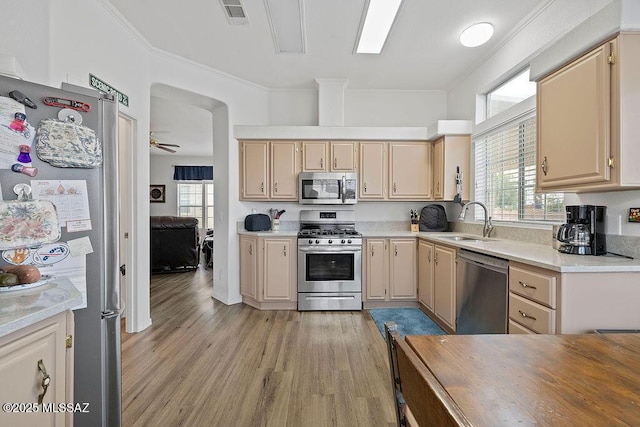 kitchen with appliances with stainless steel finishes, light brown cabinets, plenty of natural light, and sink