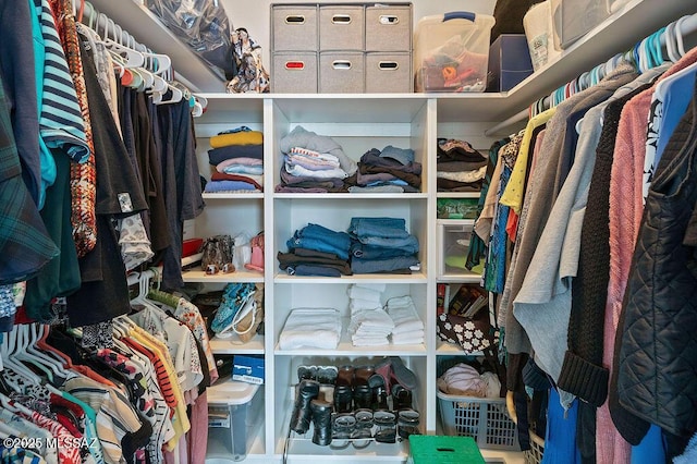 view of spacious closet