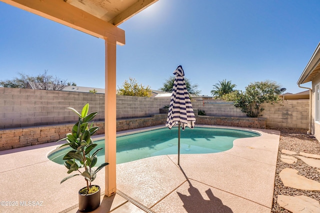 view of pool featuring a patio area