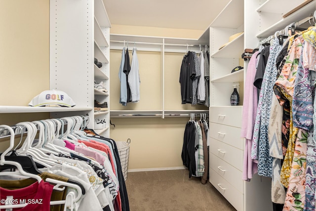 spacious closet with carpet