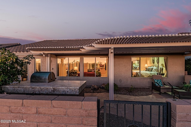 back house at dusk with a patio area and area for grilling