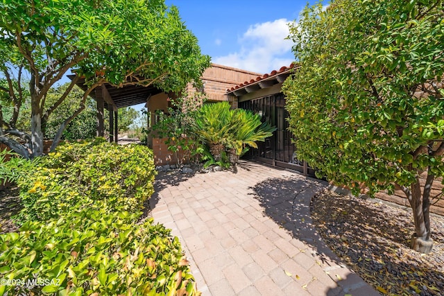 view of patio