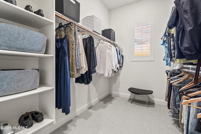 walk in closet with carpet