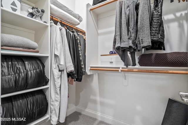 walk in closet featuring carpet