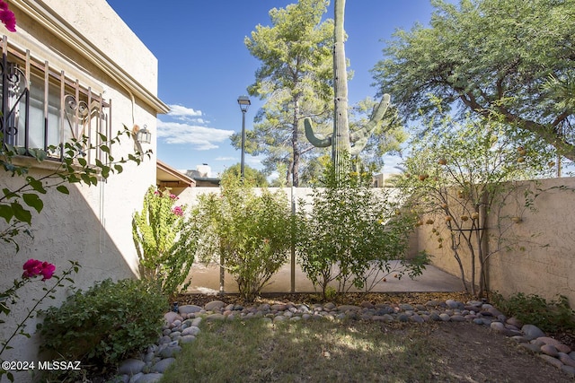 view of yard with a patio