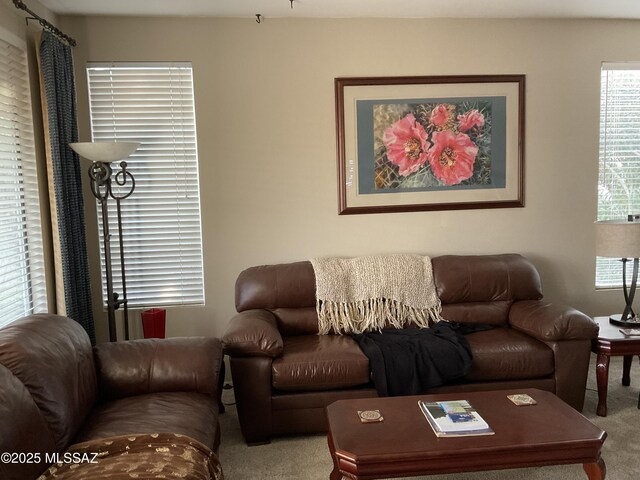 view of carpeted living room