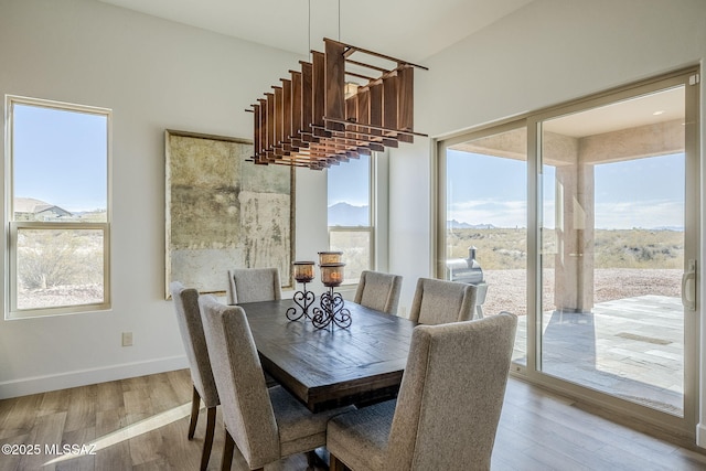 dining area with hardwood / wood-style flooring, a mountain view, and a healthy amount of sunlight