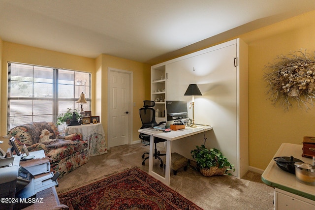 view of carpeted office space