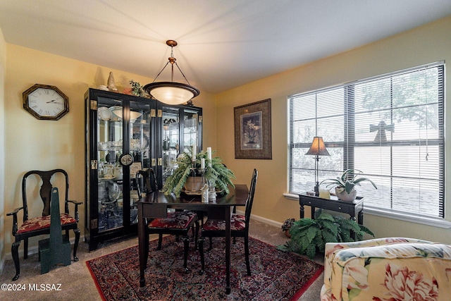 dining room featuring carpet and plenty of natural light