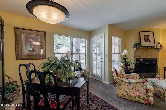 dining room featuring carpet floors