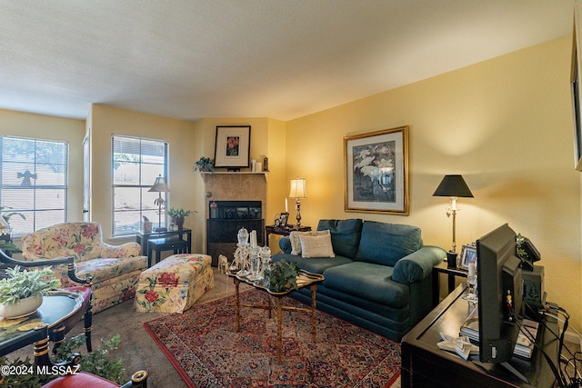 view of carpeted living room