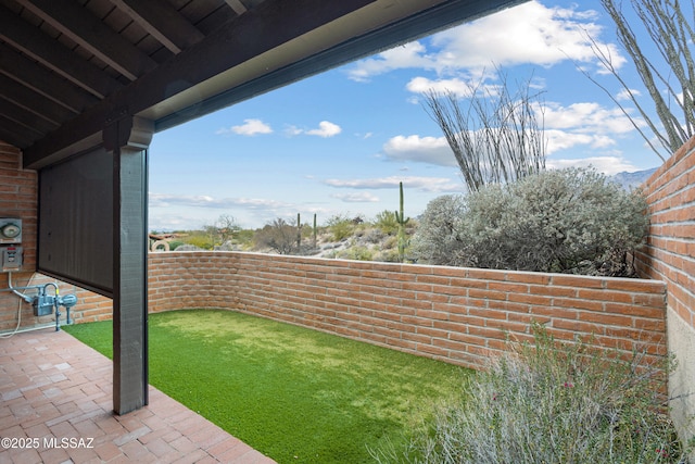 view of yard featuring a patio