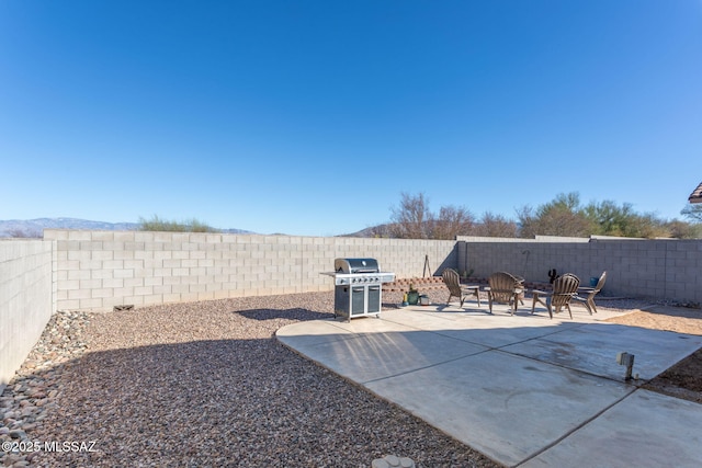 view of yard featuring a patio