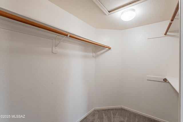 walk in closet featuring carpet