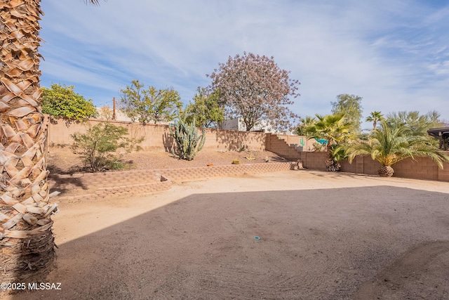 view of yard featuring a patio area